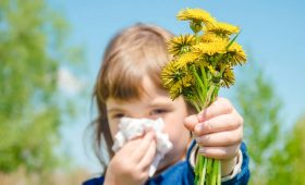Як полегшити свій стан за алергії, коли немає доступу до медичної допомоги