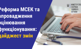 Реформа МСЕК та впровадження оцінювання функціонування